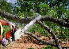 Lawn Pest Prevention in Frontenac, KS